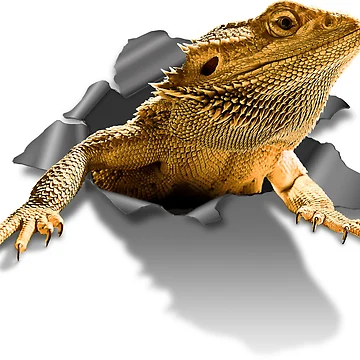 Artwork thumbnail, Rippen Lizard by Bartrand Design Studio