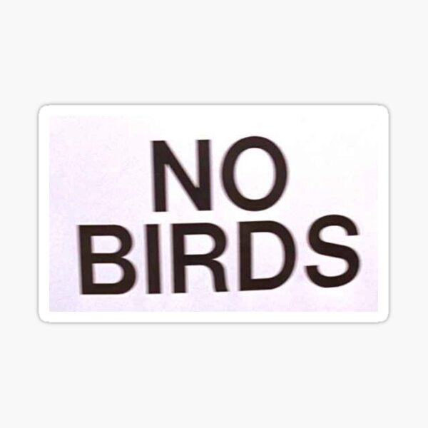 NO BIRDS Sticker