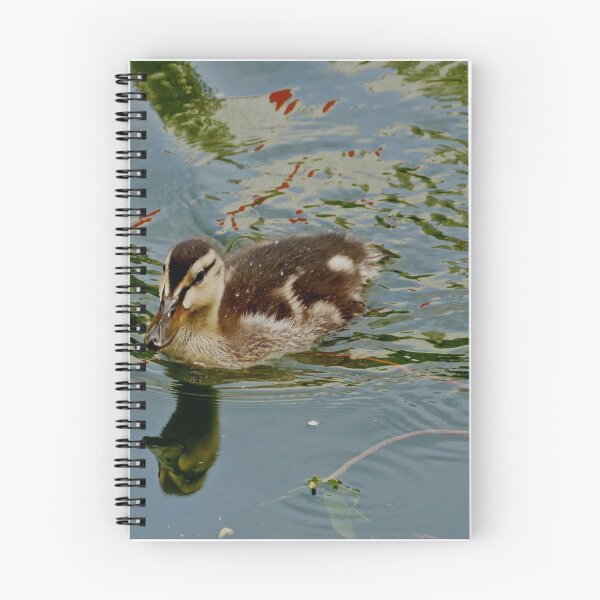 Item preview, duckling on beverley beck designed and sold by nickhedges.