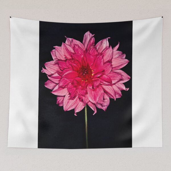Item preview, A Dahlia designed and sold by dcdigital.