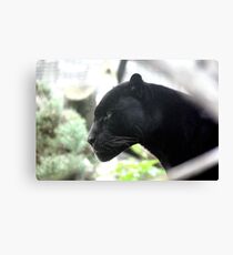 Lienzo Pantera negra