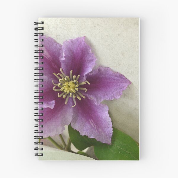 Item preview, Excitement designed and sold by webster7.