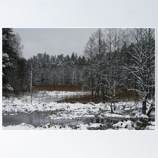 Item preview, Winter Marsh designed and sold by Antanas.