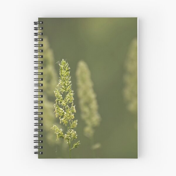 Item preview, Just Be designed and sold by Robin Webster.