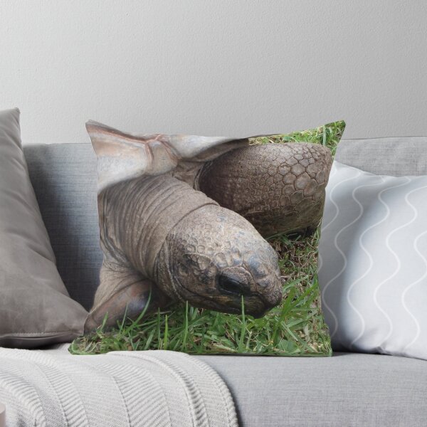 Artikelvorschau, Das Leben einer Schildkröte entworfen und verkauft von Beccka.