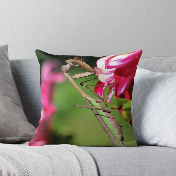 Item preview, Praying Mantis Eating a Bee designed and sold by Gilda Axelrod.