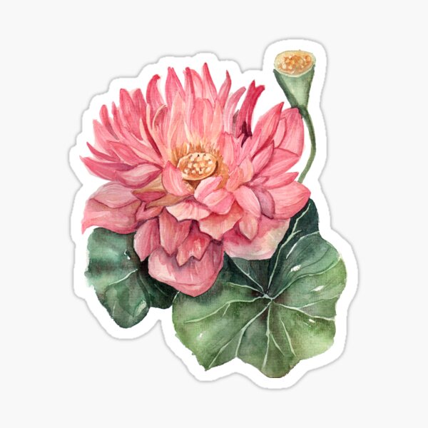 Momo Botan Sticker