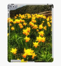 Daffodils iPad Case/Skin