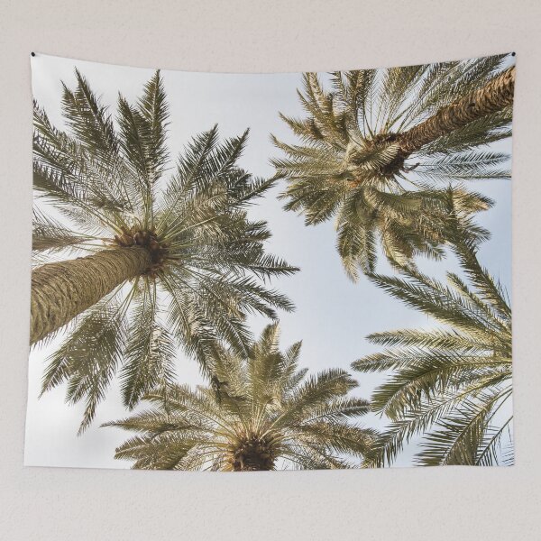 Item preview, low angle view of palm tree designed and sold by franckreporter.