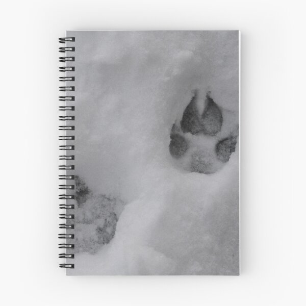 Item preview, Joey Prints designed and sold by Gilda Axelrod.