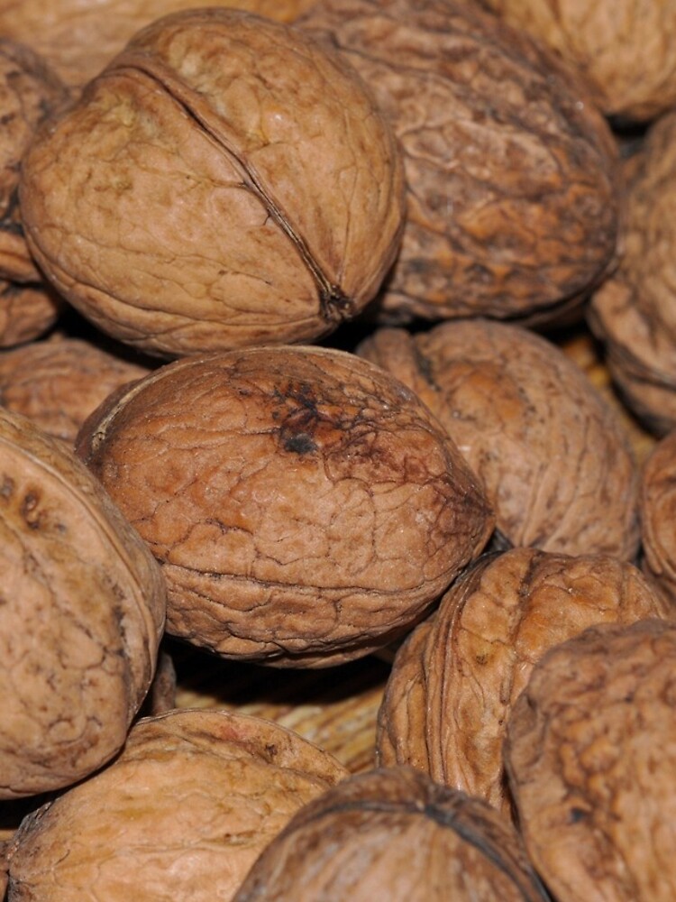 Thumbnail 5 of 5, iPhone Case, Walnuts designed and sold by AbstractCreatur.