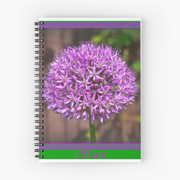 Item preview, Allium designed and sold by ColinBoylett.