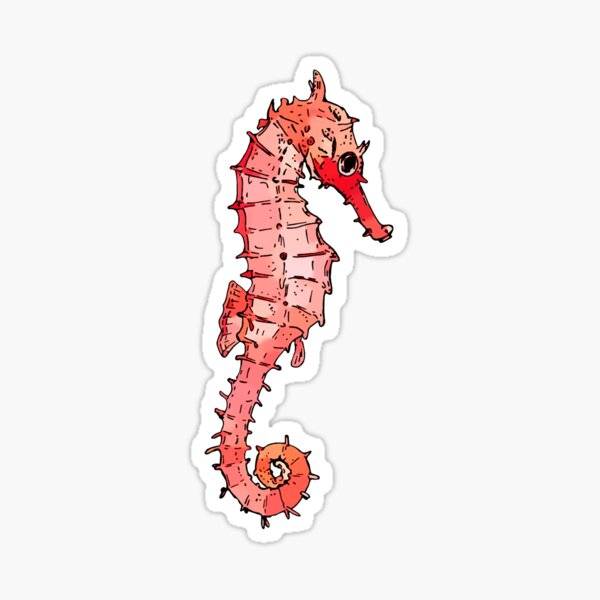 Seahorse Stickers | Redbubble