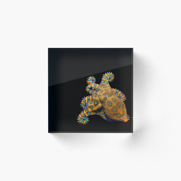 Blue Ring Octopus right skew Acrylic Block