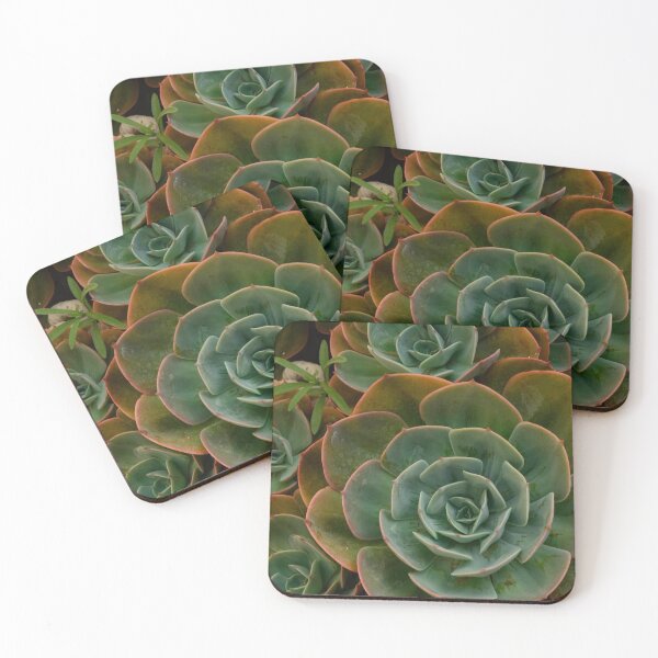 Item preview, Botanical Cacti (Cactus) Pattern designed and sold by aussieforgood.