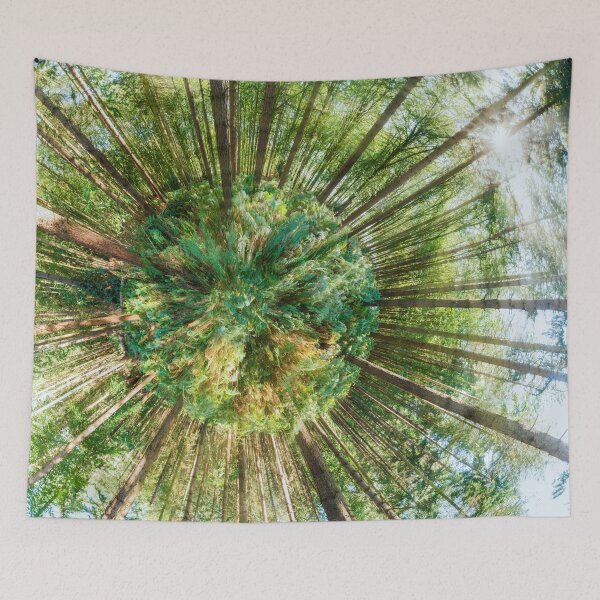 Item preview, 360 degree of a pine woodland  designed and sold by simonbratt.