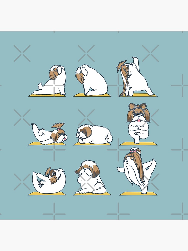 Shih Tzu Yoga by Huebucket