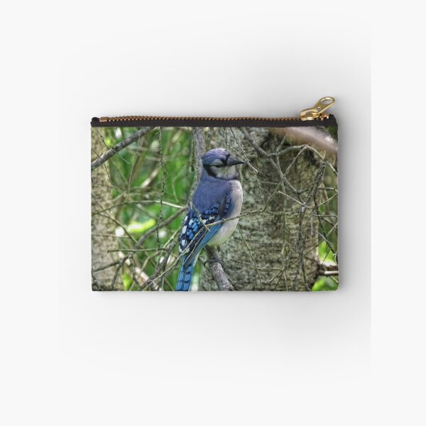 Item preview, The bluejay designed and sold by marchello.