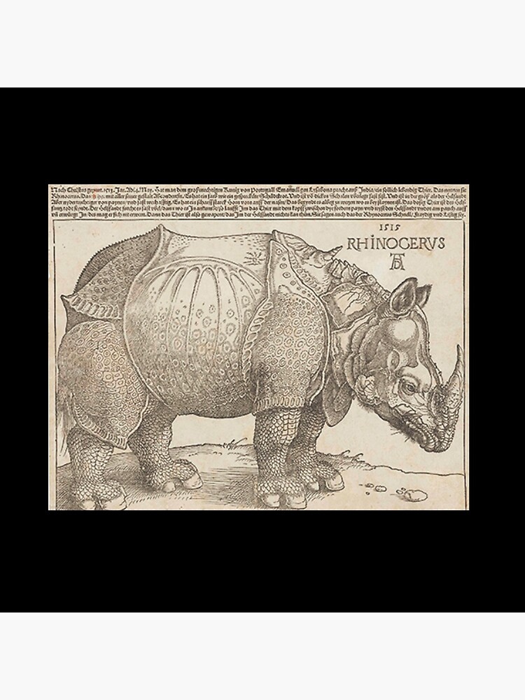 1515 Postkarte Rhinozeros Albrecht Dürer