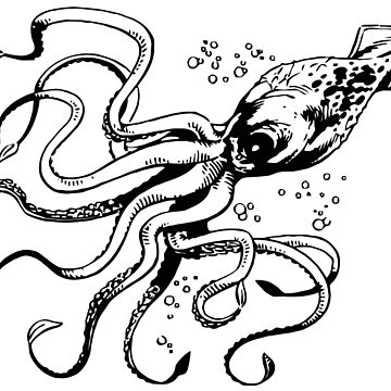 Artwork thumbnail, Giant squid by nomoregravity