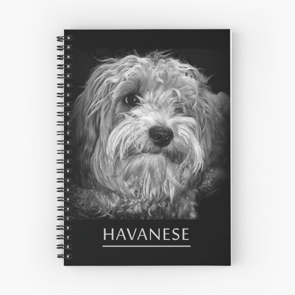 Item preview, Havanese designed and sold by leobrix.