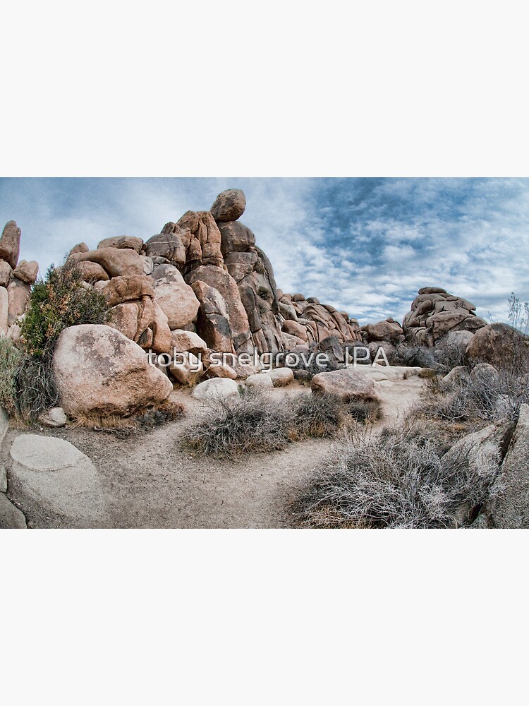 Joshua Tree National Park by tobysnelgrove