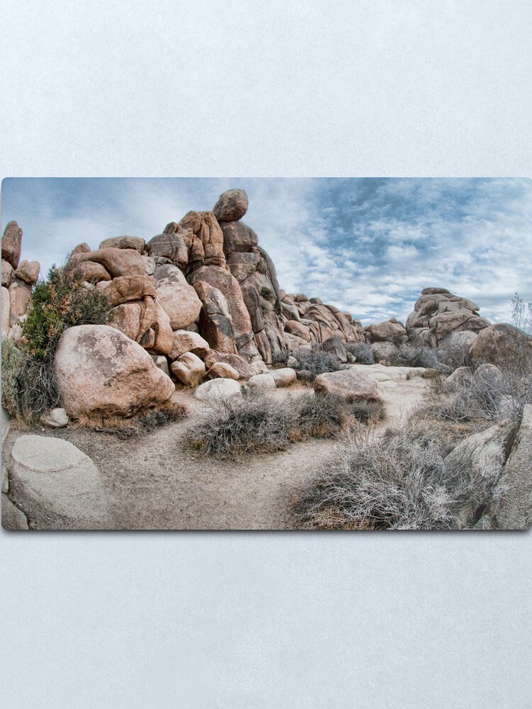 Alternate view of Joshua Tree National Park Metal Print