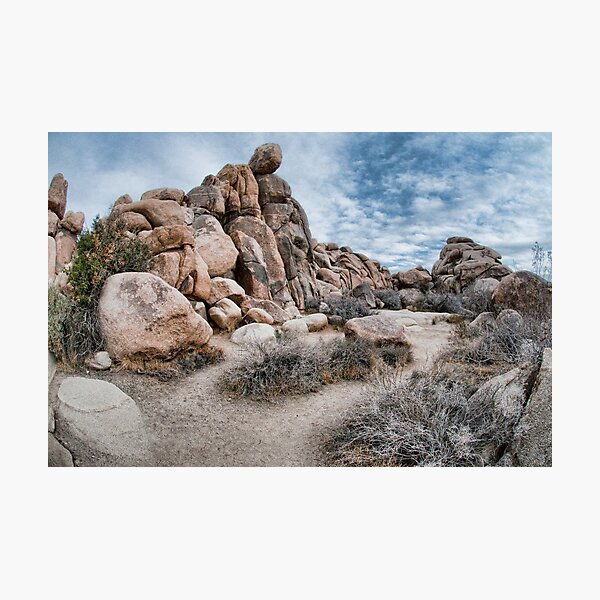 Joshua Tree National Park Photographic Print