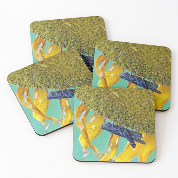Item preview, Grasshopper on Sunflower designed and sold by Frankie Cat Photography.