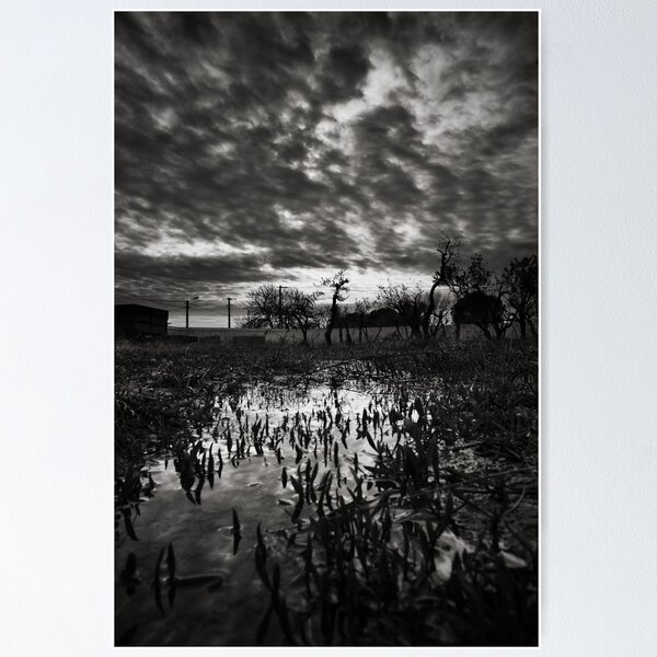 Item preview, My Garden, After the Rain - Castelnau le Lez, France - 2010 designed and sold by Nicolas Perriault.