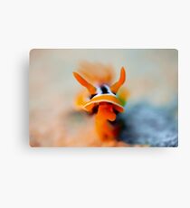 Pajama Nudibranch Canvas Print