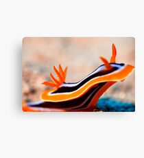 Pajama Nudibranch Canvas Print