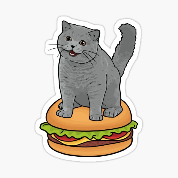  Simple Kawaii Food Foodie Cartoon Emoji Vinyl Sticker (4 Tall,  Hamburger) : Automotive