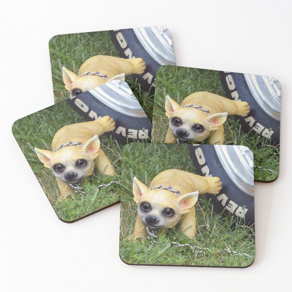 Item preview, Whiz Kid designed and sold by Frankie Cat Photography.