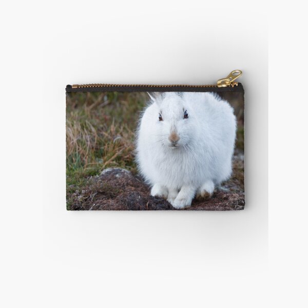Item preview, Close to mountain hare designed and sold by chanonry.