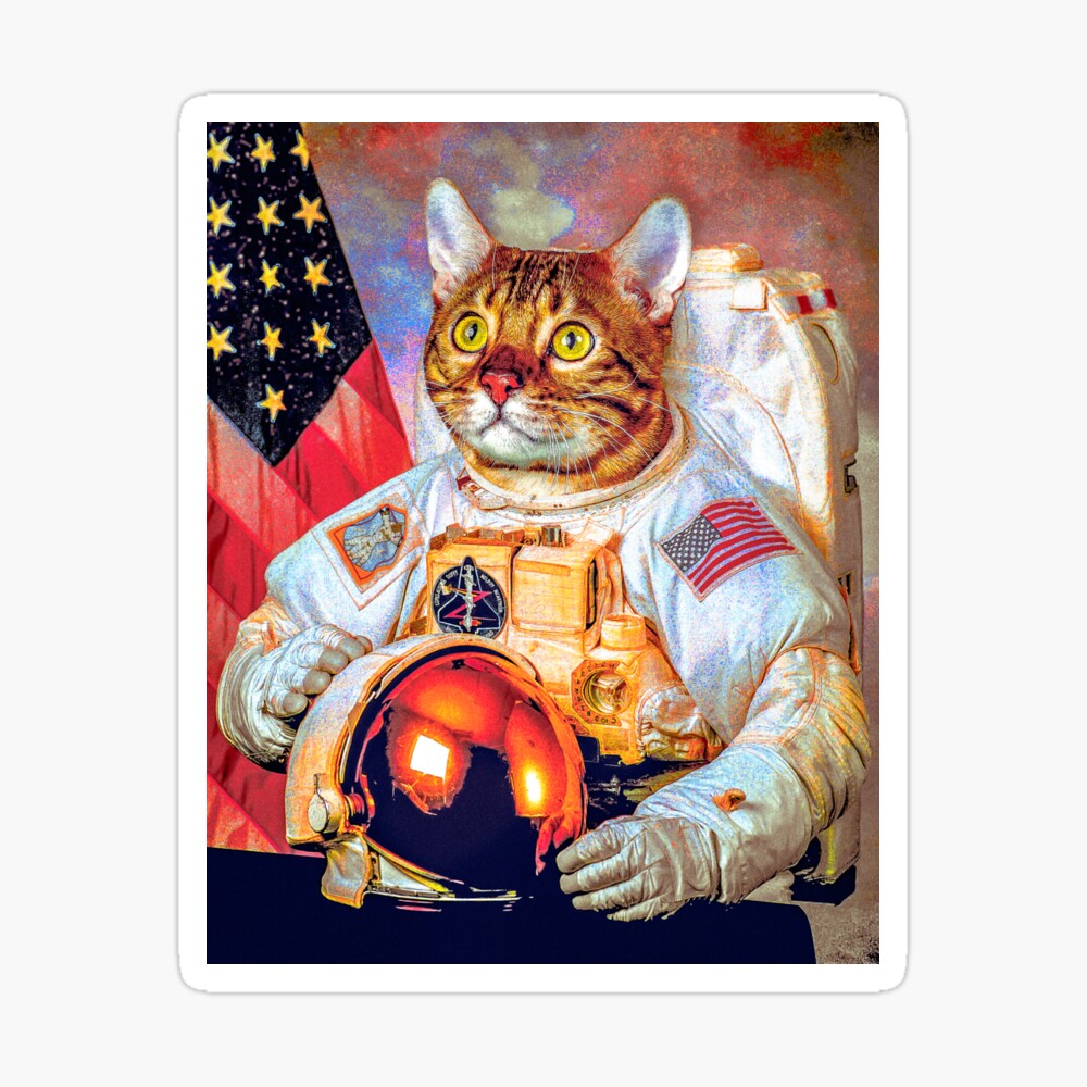 Astronaut Kitty by NicholasP1996 on DeviantArt