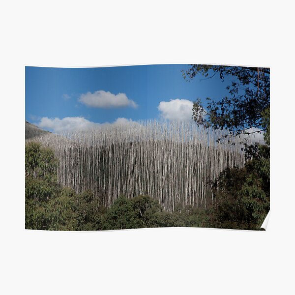 Falls Creek Entrance Poster