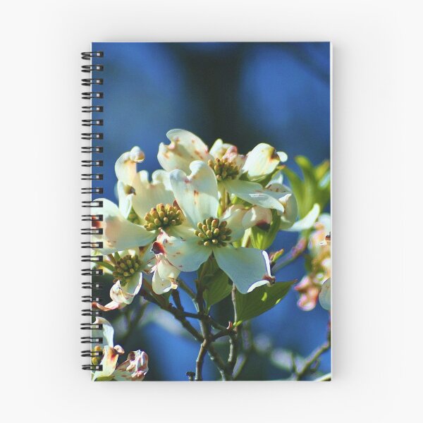 Item preview, Dogwood in Bloom designed and sold by Gilda Axelrod.