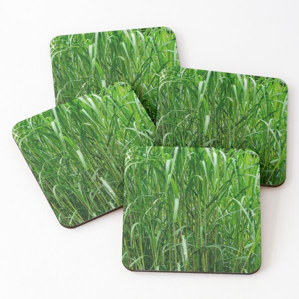 Item preview, Green Grass designed and sold by iCimages.net.