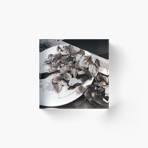 Phantom Dinner Acrylic Block
