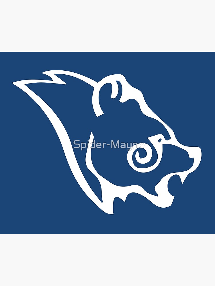 Discover Skyrim Stormcloak Flag Logo Tapestry