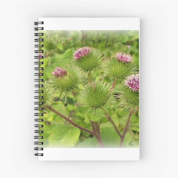 Item preview, Burdock designed and sold by ColinBoylett.
