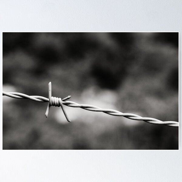 Item preview, Galvanized - Montpellier, France - 2010 designed and sold by Nicolas Perriault.