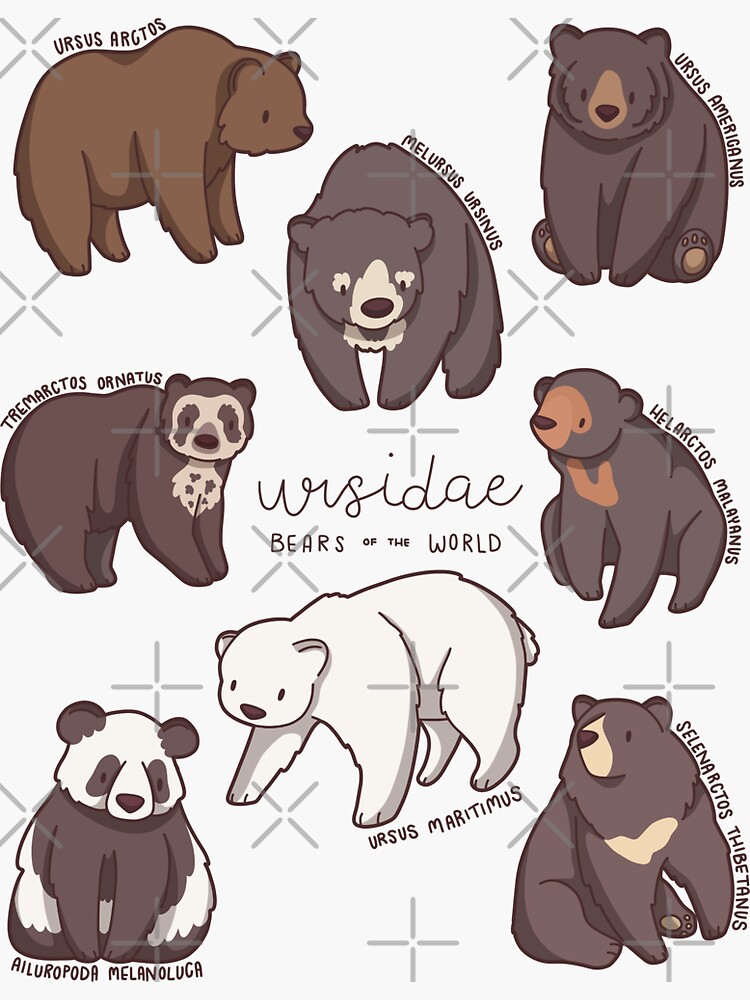 Polar Bear Sticker for Sale by mmahoney20