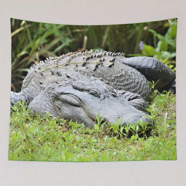Item preview, The Sleeping Giant designed and sold by What I See by Dawne.