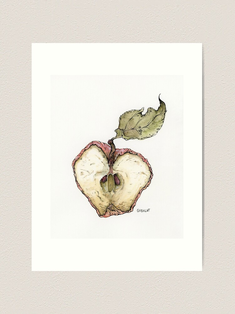 Rotten apple. by PRUSSIAART on DeviantArt, rotten 