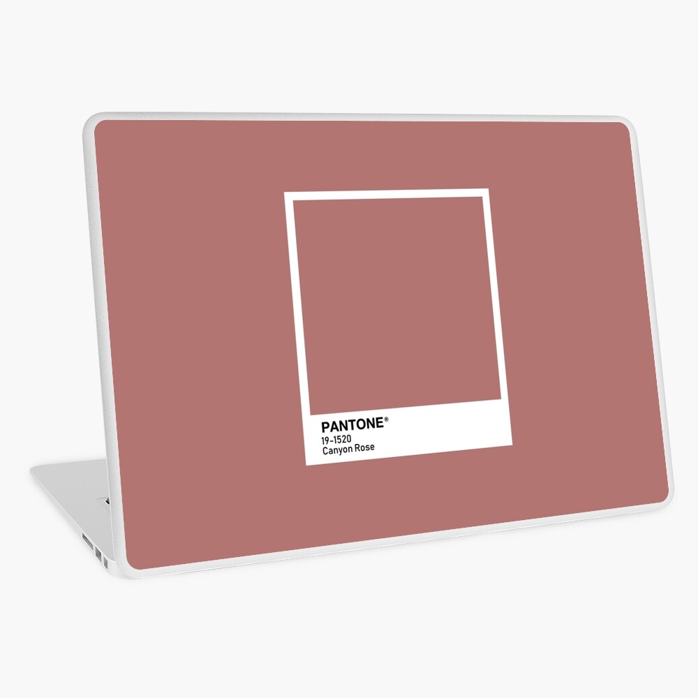 Pantone Canyon Rose iPad Case & Skin for Sale by scultura