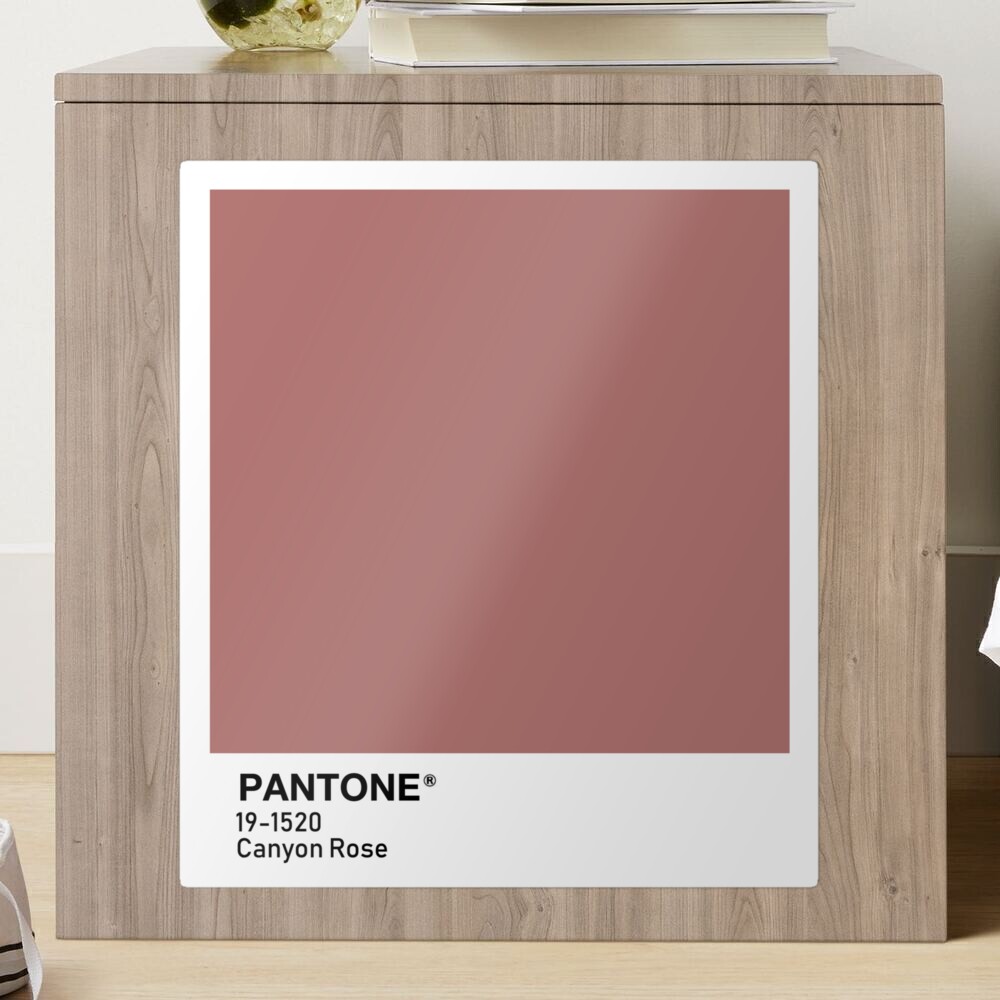 AIGA on X: 🌇🌹 @pantone: Today's #coloroftheday is CANYON ROSE    / X