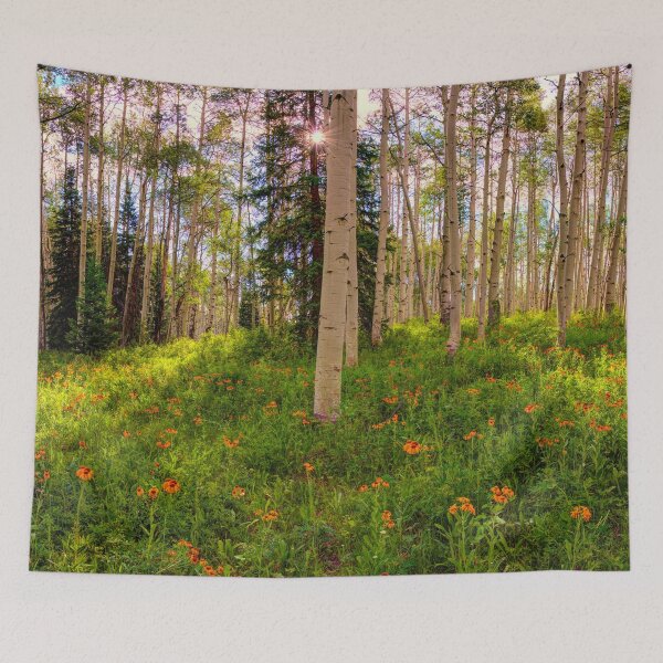 Item preview, Crested Butte; Kebler Pass Spring Time Panorama by OLena Art for #redbubble designed and sold by Rocky Mountain Artistry.