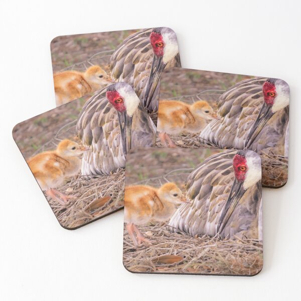 Item preview, Wants attention designed and sold by Zina Stromberg.